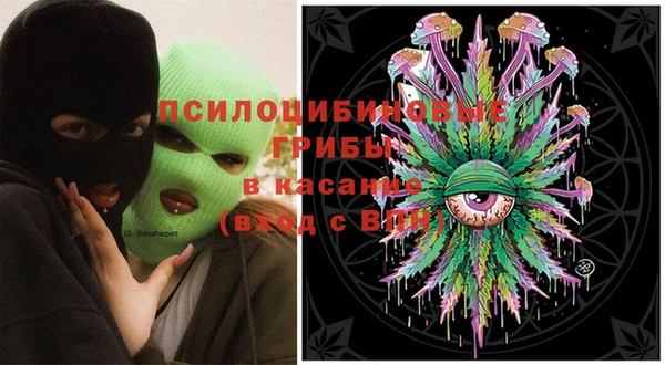 ГАЛЛЮЦИНОГЕННЫЕ ГРИБЫ Богородск