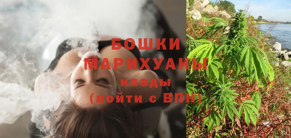 mdpv Богородицк