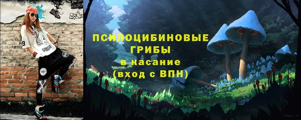 mdpv Богородицк