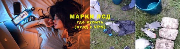 mdpv Богородицк