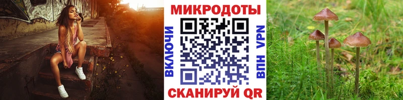 Псилоцибиновые грибы прущие грибы  Ялта 